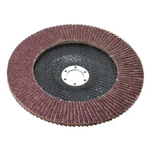 DISCO FLAP 7" - 180XG120 LOYAL